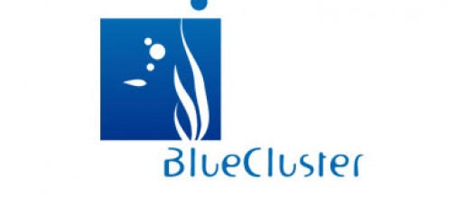 BlueCluster
