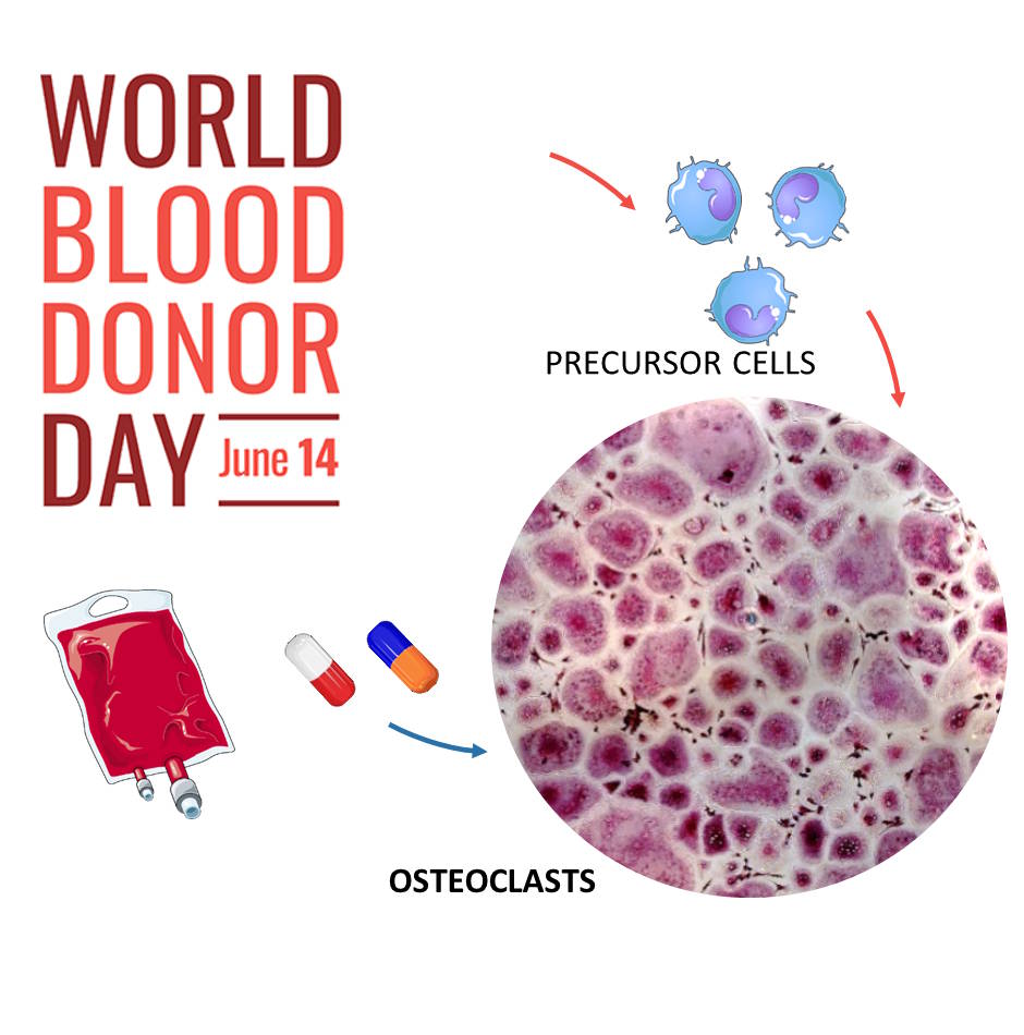 world blood donor day oc