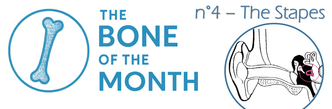 bone month stapes bandeau