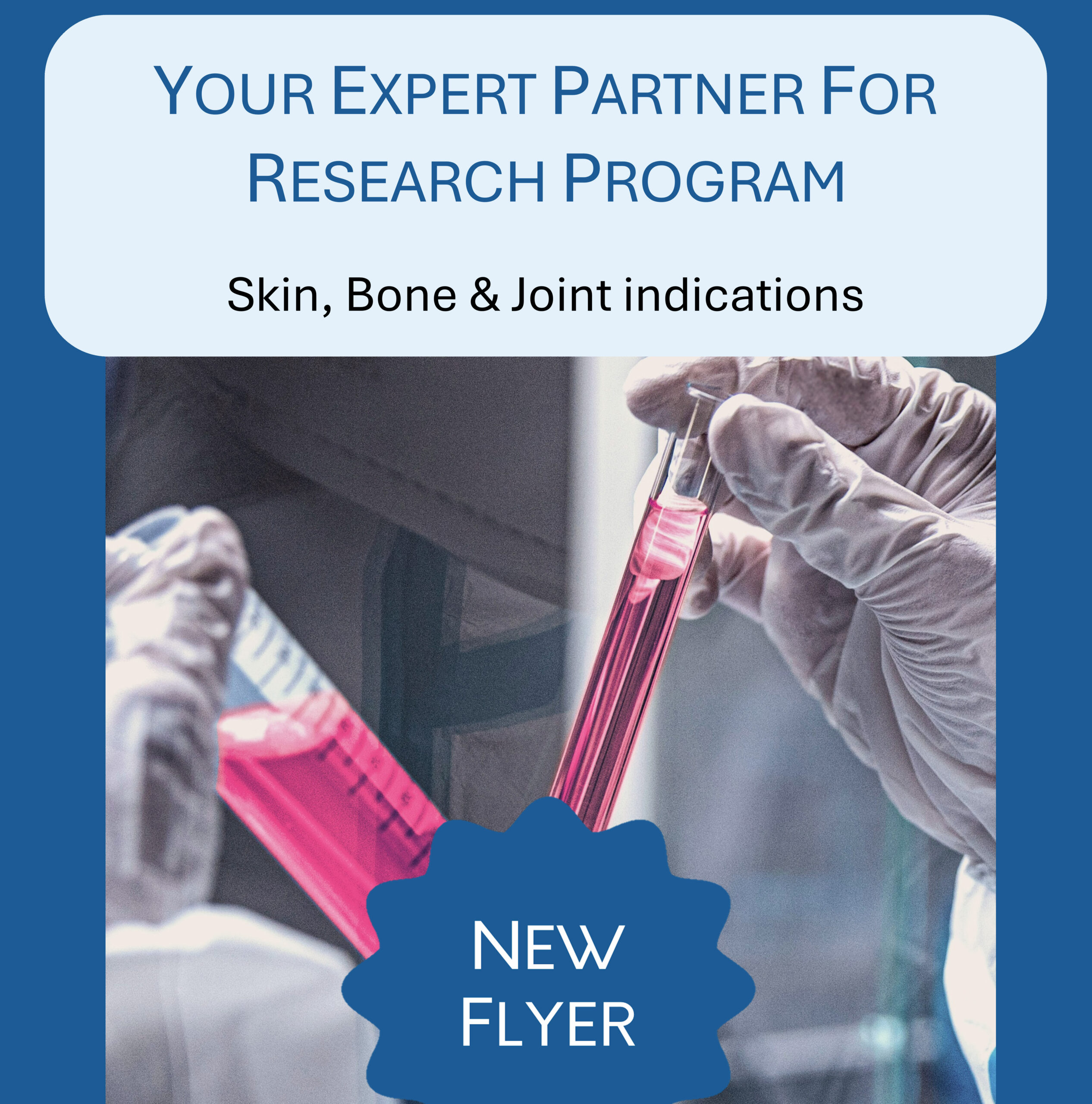 Explore the full range of our expertise