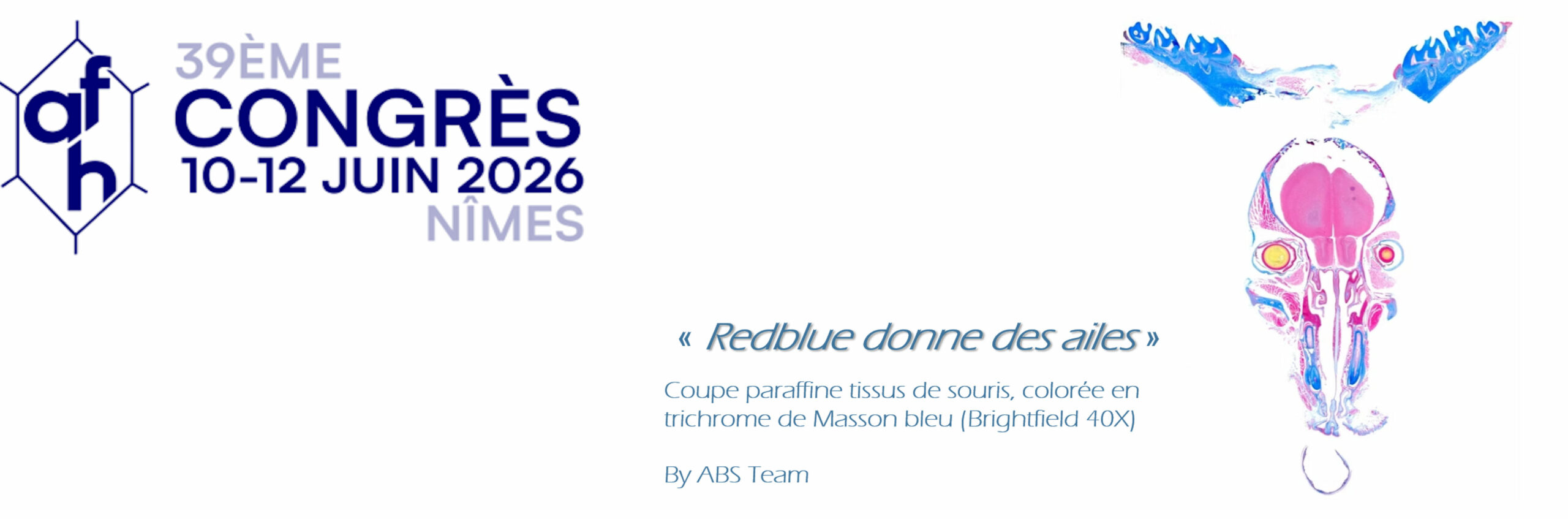 afh 2026 redbluedonnedesailes