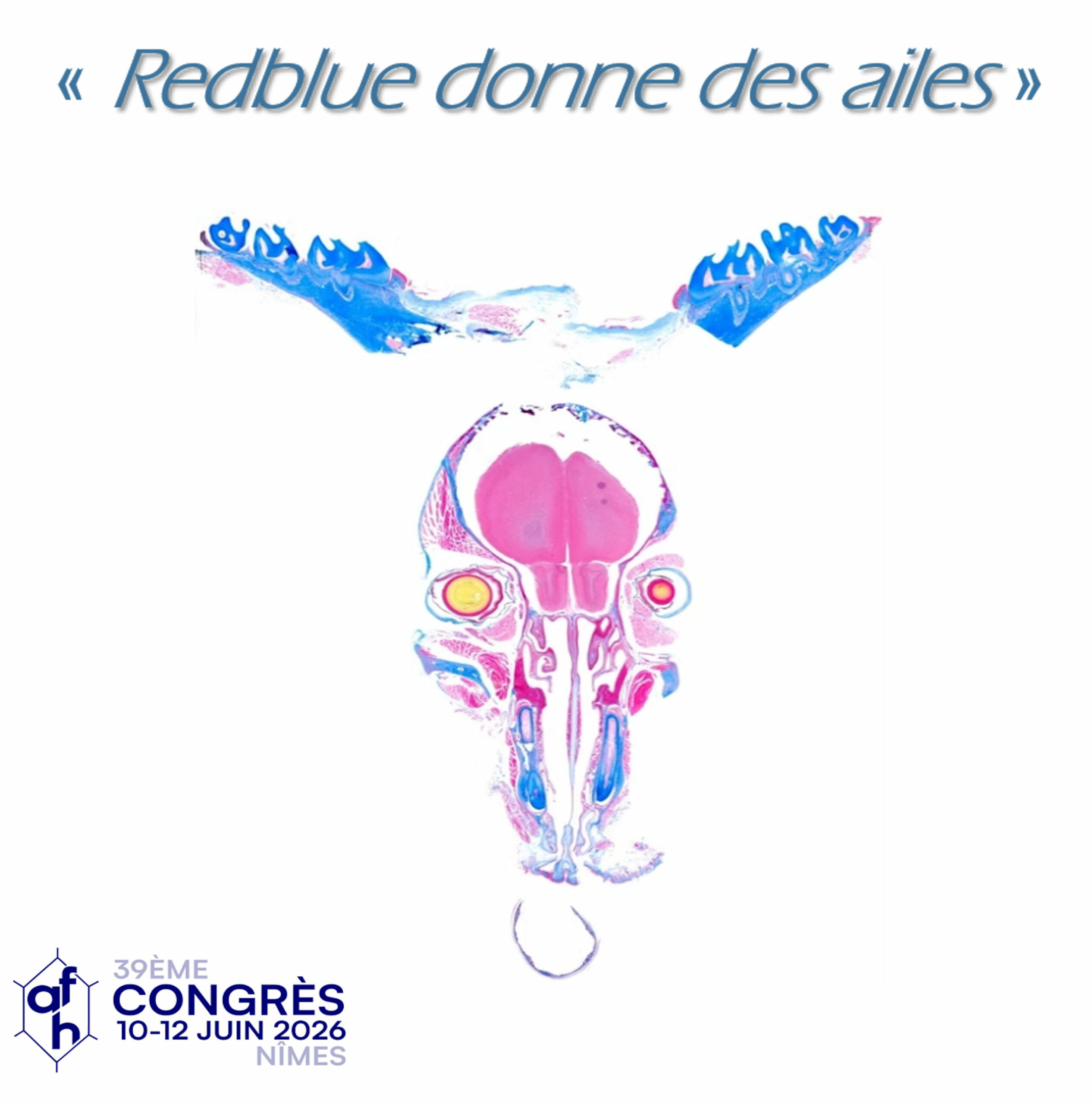 L’art est aussi au coeur de nos tissus !