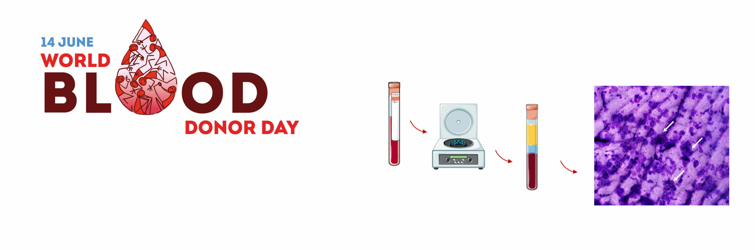 world blood donor day2026