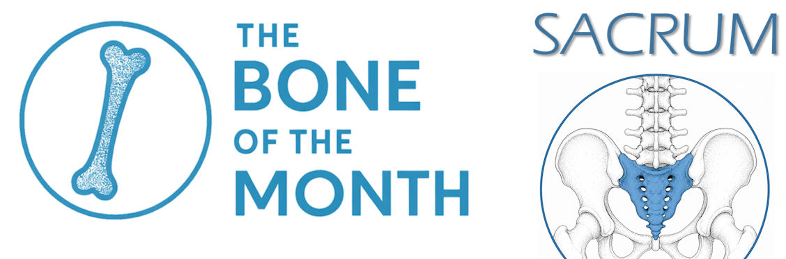 bone month sacrum bandeau