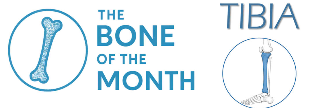 bone month tibia bandeau
