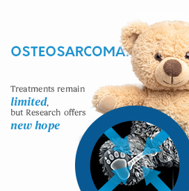 Child cancer awareness month – Zoom on osteosarcoma