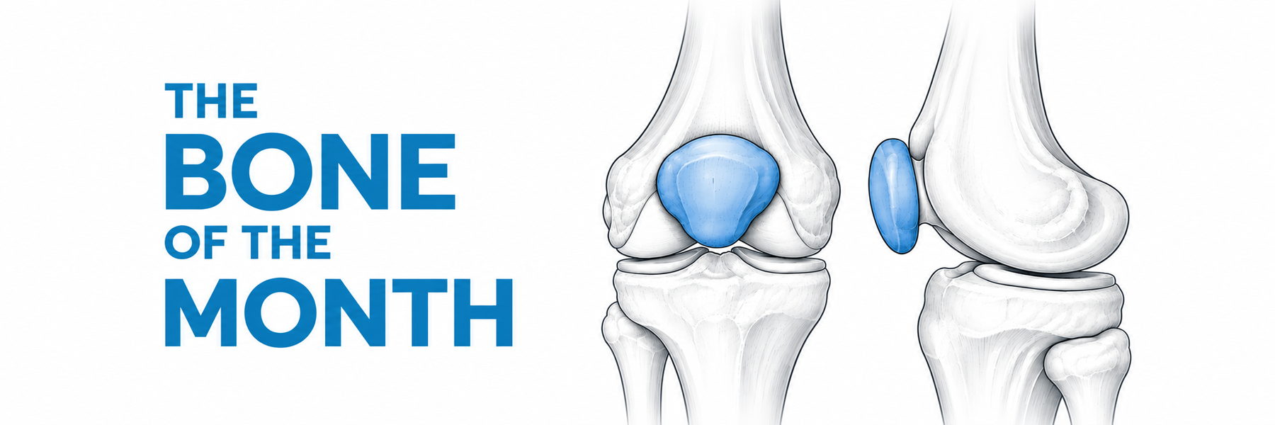 bone of the month patella